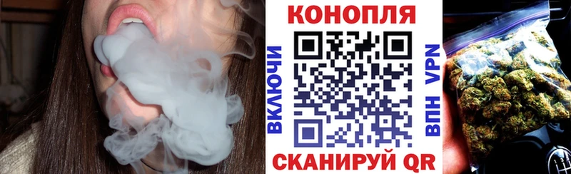 Бошки Шишки конопля  Фатеж 